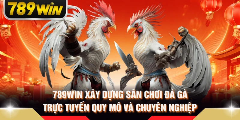 789WIN xây dựng sân chơi đá gà trực tuyến quy mô và chuyên nghiệp
