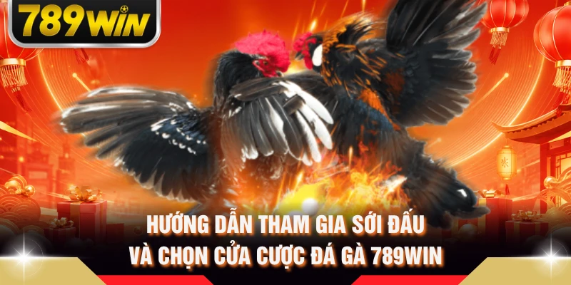 Hướng dẫn tham gia sới đấu và chọn cửa cược đá gà 789WIN